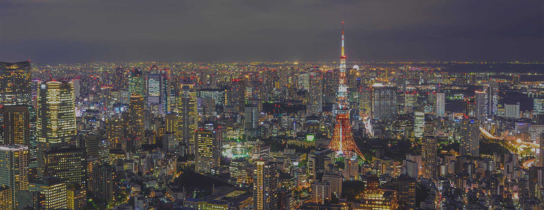 夜の豊子のスカイライン